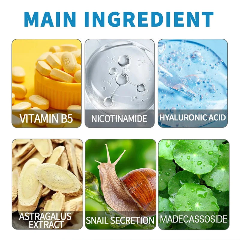 Main ingredients for skincare: vitamin B5, nicotinamide, hyaluronic acid, astragalus extract, snail secretion, madecassoside with images of each.